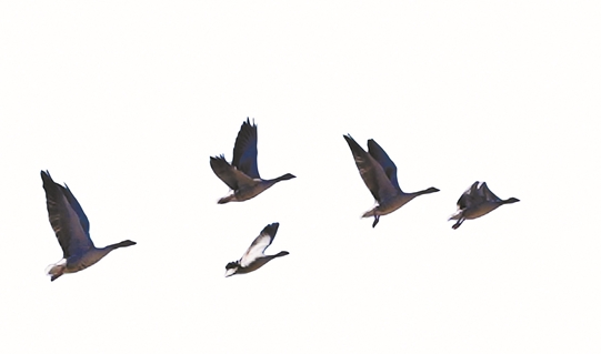 微信截圖_20210413081227 微信截圖_20210413081227