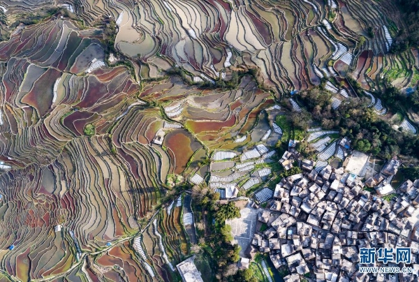 139869238_16179553186031n 139869238_16179553186031n