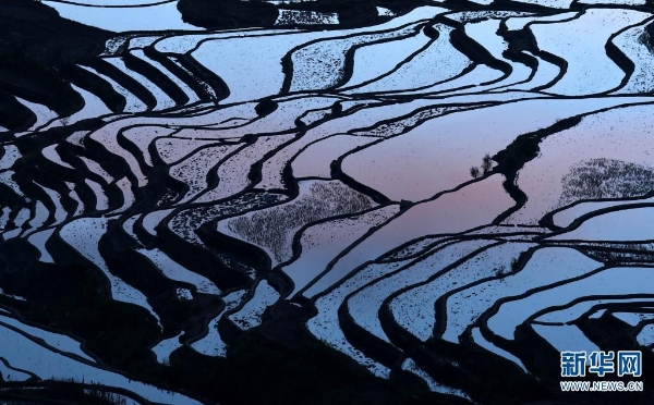 139869238_16179553187311n 139869238_16179553187311n