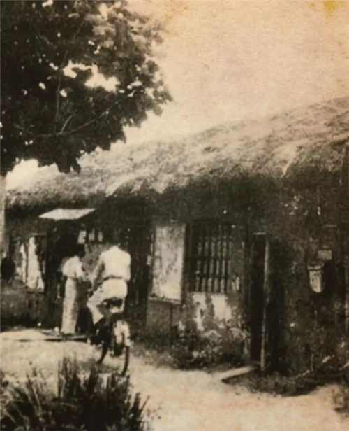 微信截圖_20210406222311.png 微信截圖_20210406222311.png