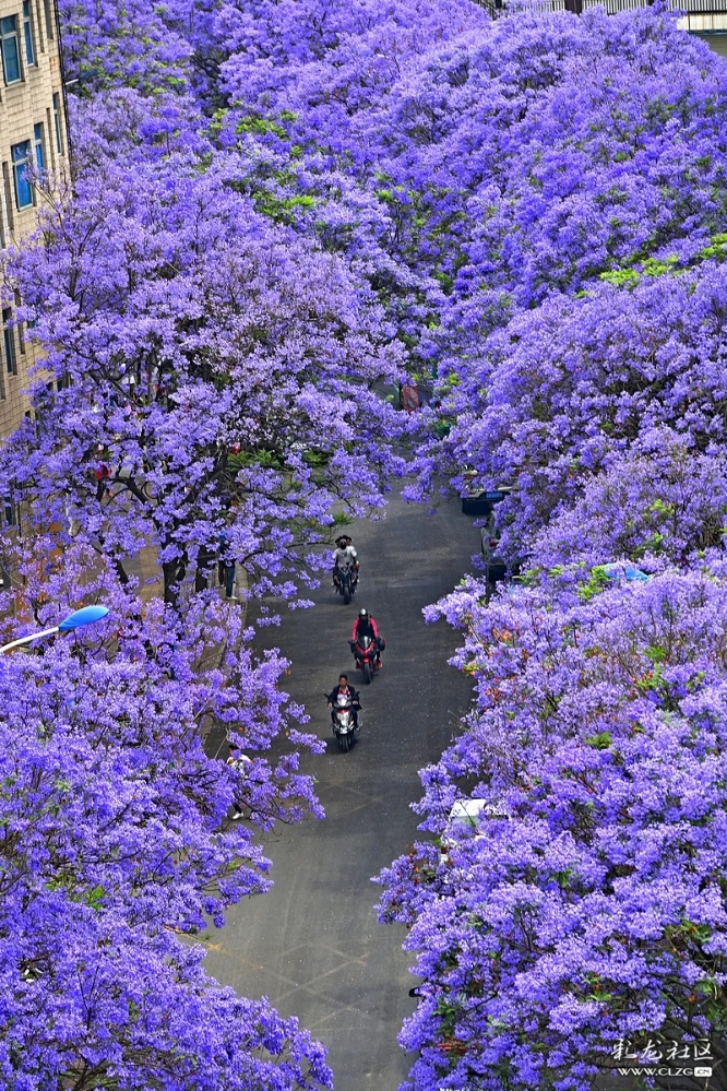 640.webp (2) 640.webp (2)