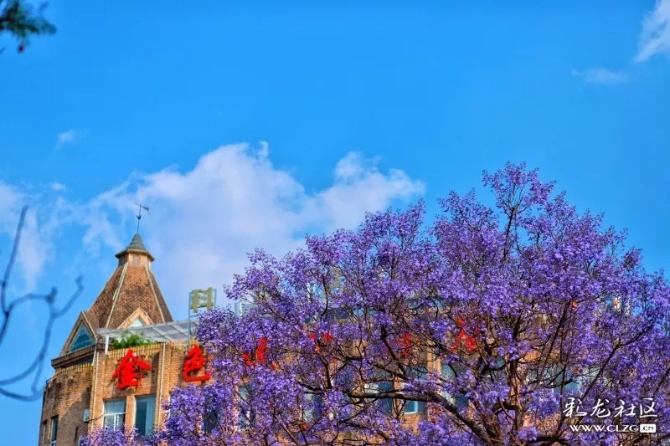 640.webp (6) 640.webp (6)