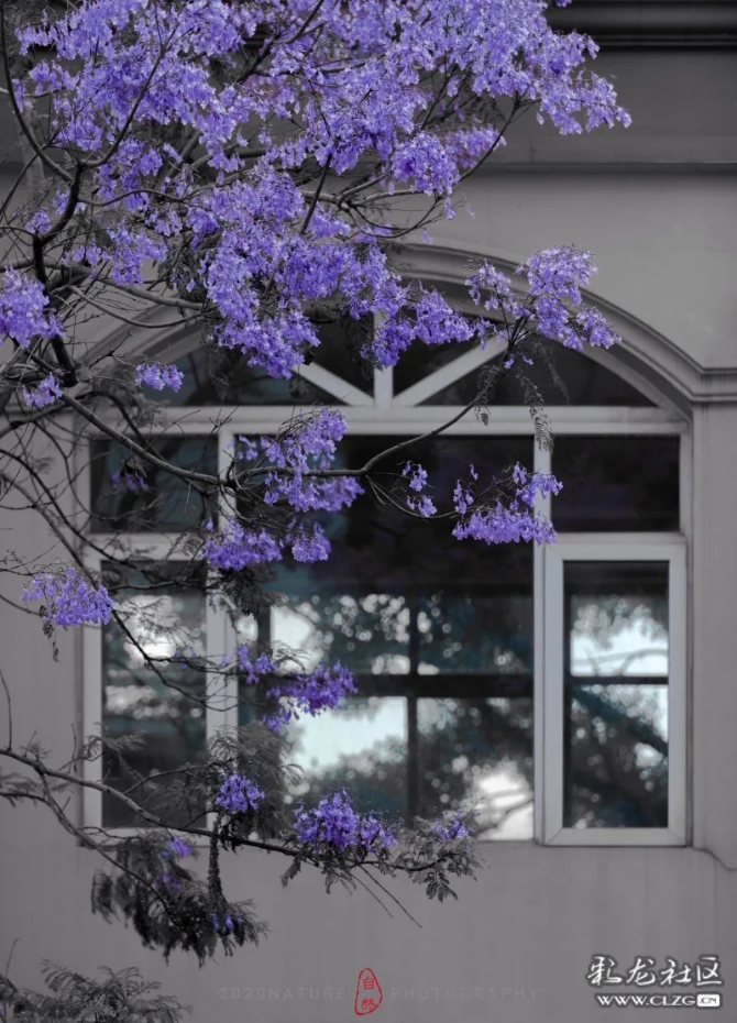 640.webp (7) 640.webp (7)