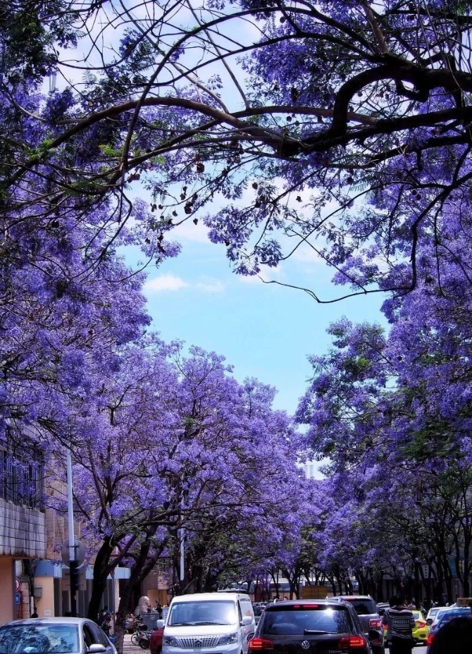 640.webp (9) 640.webp (9)