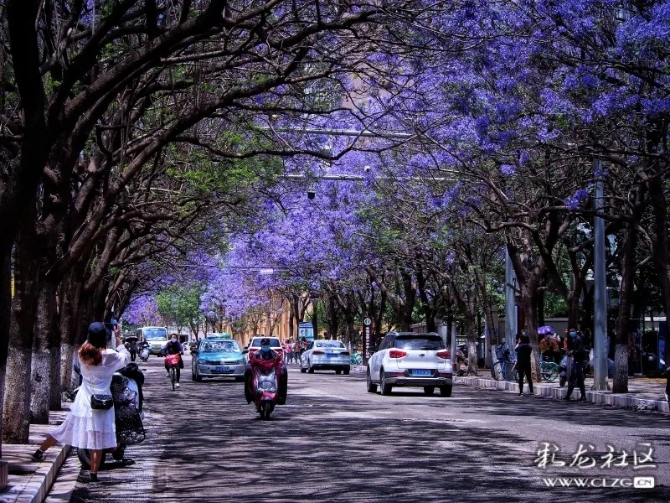 640.webp (10) 640.webp (10)