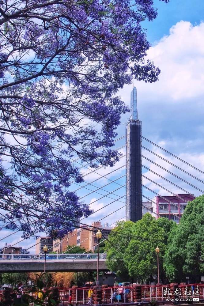 640.webp (12) 640.webp (12)