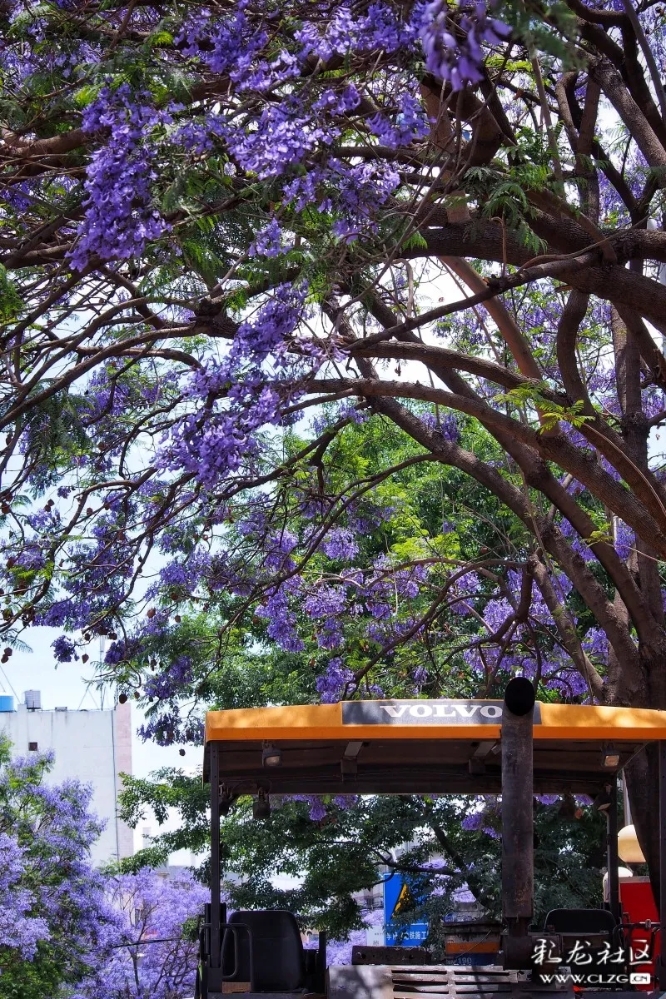 640.webp (13) 640.webp (13)