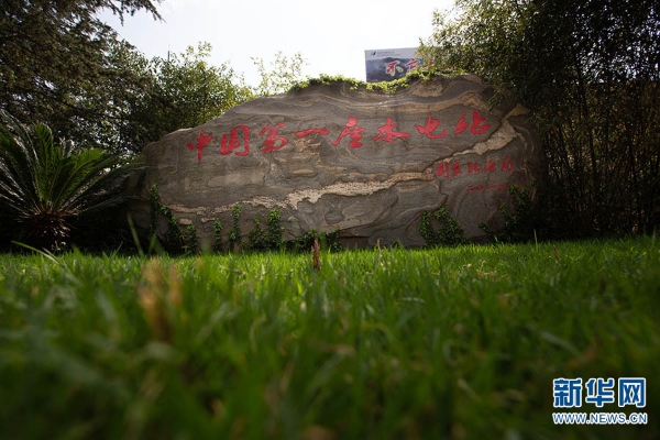 139876788_16182774179751n 139876788_16182774179751n