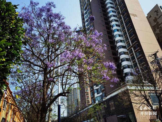 ???è§?????o￠è??è?±?￥1????????? ?·|?-|??3 ???