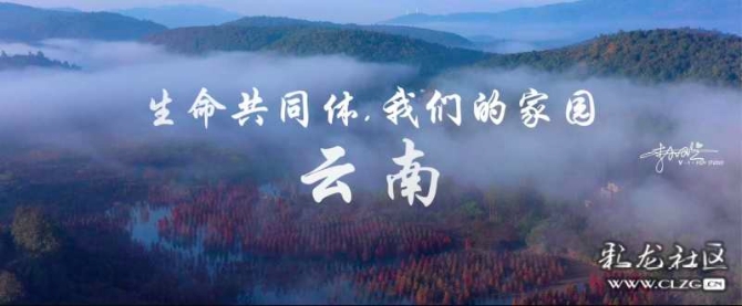 16186465667004660225394013379_68788 16186465667004660225394013379_68788