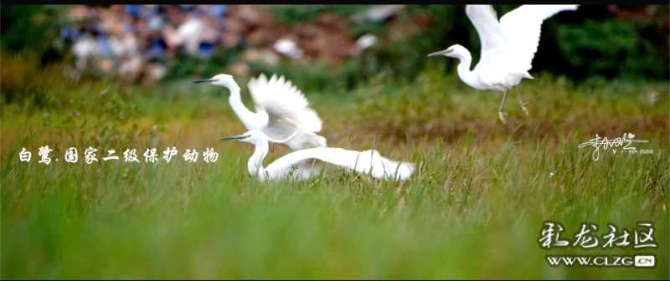 16186465665076153854970974049_68788 16186465665076153854970974049_68788