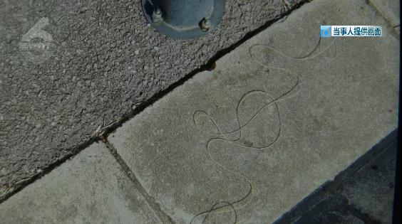 外賣小哥騎車被風(fēng)箏線“割喉”！