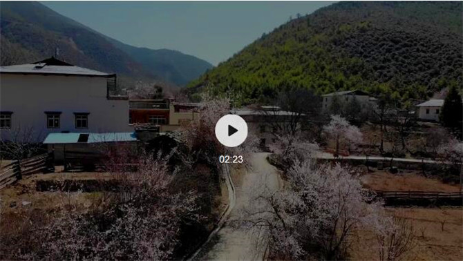 QQ截圖20210425161631