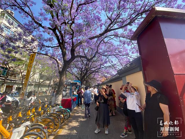 昆明教場中路( 春城晚報-開屏新聞記者 周柯妤 攝)