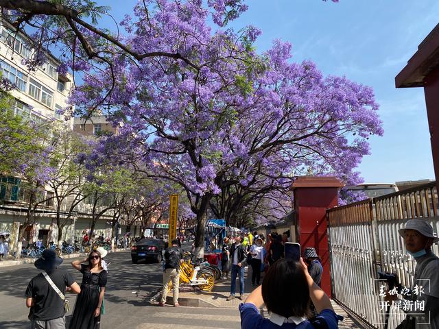 昆明教場中路( 春城晚報-開屏新聞記者 周柯妤 攝)