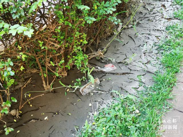 臭味難聞！昆明一小區(qū)清理水池淤泥埋在業(yè)主樓下 業(yè)主直呼：家里都待不下去了，小區(qū)環(huán)境太差 （春城晚報(bào)-開屏新聞?dòng)浾?馬藝寧 攝影報(bào)