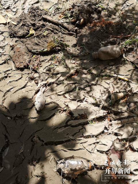 臭味難聞！昆明一小區(qū)清理水池淤泥埋在業(yè)主樓下 業(yè)主直呼：家里都待不下去了，小區(qū)環(huán)境太差 （春城晚報(bào)-開屏新聞?dòng)浾?馬藝寧 攝影報(bào)道）