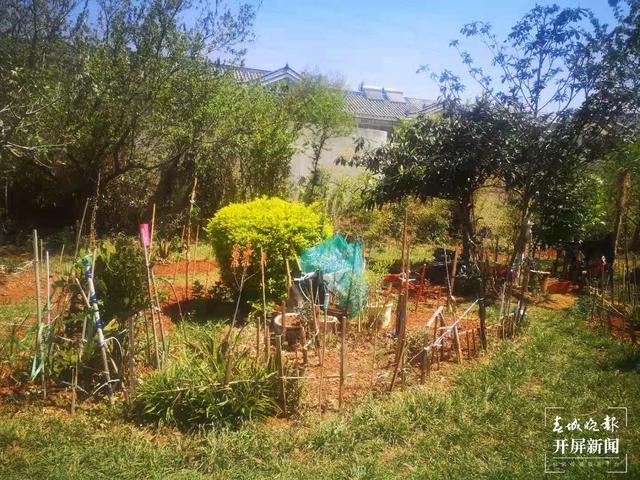 臭味難聞！昆明一小區(qū)清理水池淤泥埋在業(yè)主樓下 業(yè)主直呼：家里都待不下去了，小區(qū)環(huán)境太差 （春城晚報(bào)-開屏新聞?dòng)浾?馬藝寧 攝影報(bào)