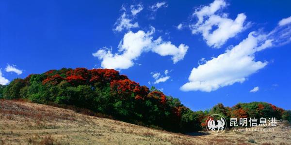 圖片3_副本 圖片3_副本