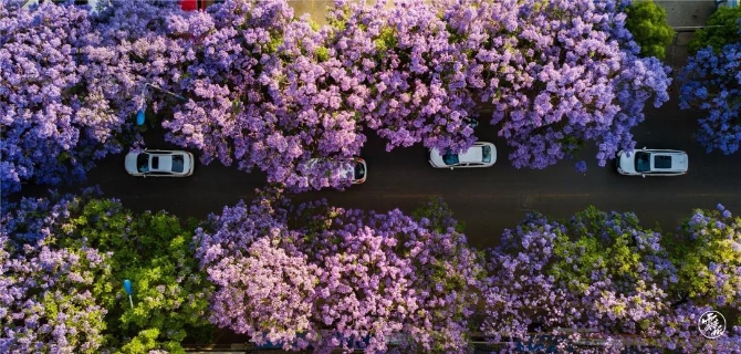 GetAttachment (1).jpg