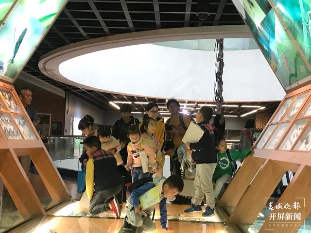 五一期間，昆明動(dòng)物博物館正常開(kāi)放 （來(lái)源 春城晚報(bào)-開(kāi)屏新聞 楊質(zhì)高）