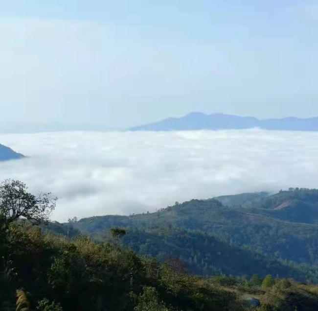 ff34b028fb0e2add42f9b09d0891e43