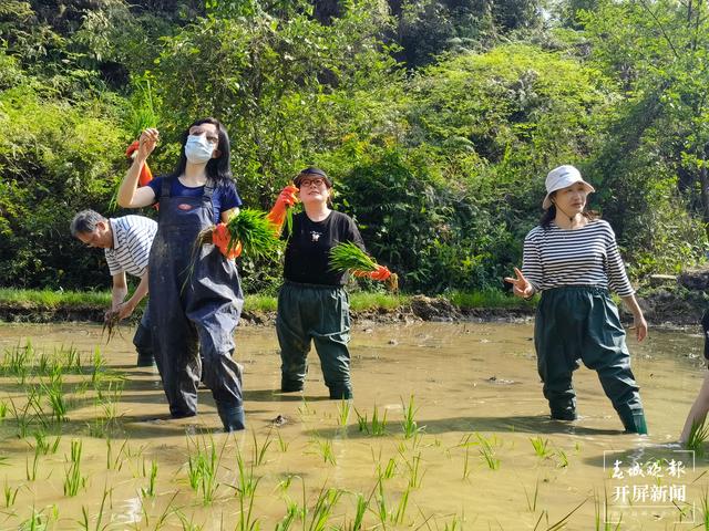 云南景區(qū)(景區(qū)供圖)