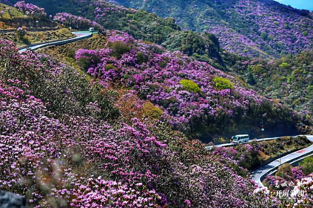 云南景區(qū)(景區(qū)供圖)