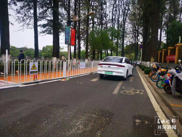 翠湖開設(shè)慢跑道 (1).jpg