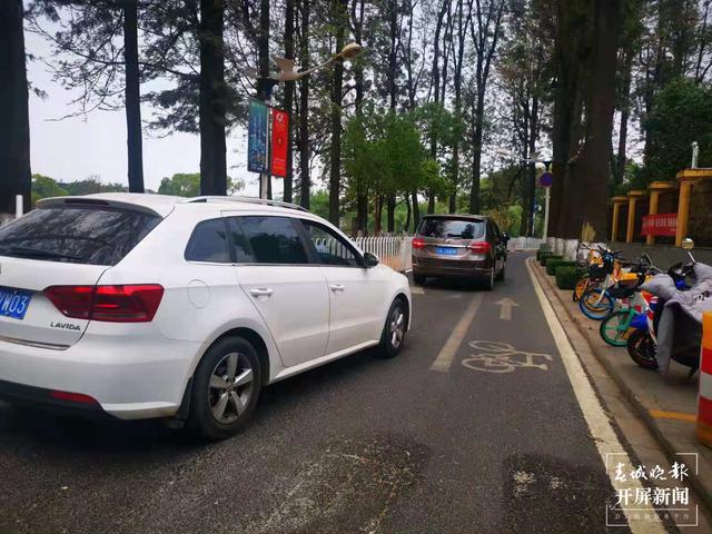 翠湖開設(shè)慢跑道 (2).jpg