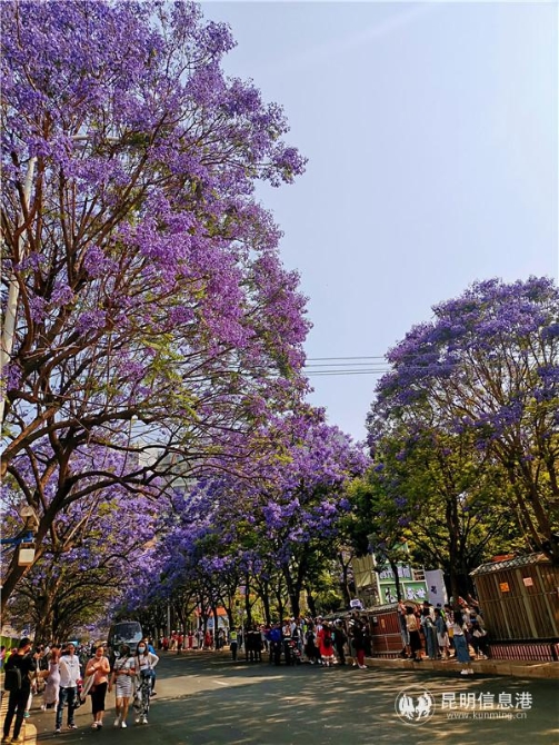 微信圖片_20210501145324 微信圖片_20210501145324