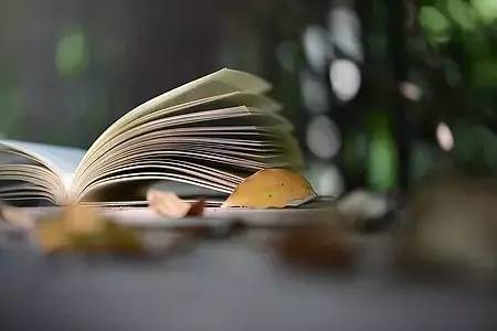 fab79a34bc944aa3bd7d47d9cdd7404f_th