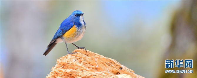 139925922_16202021438061n