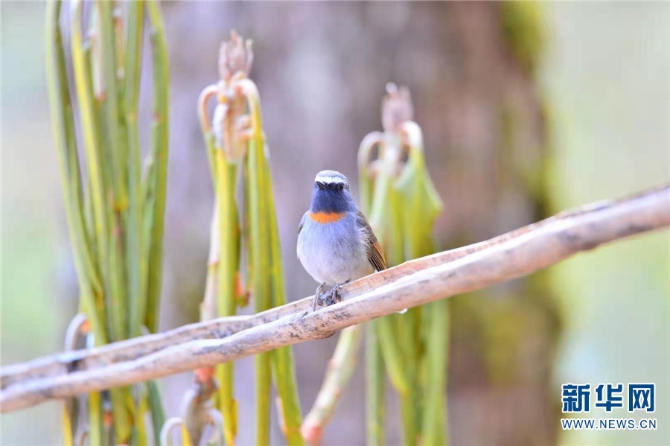 139925922_16202021441301n