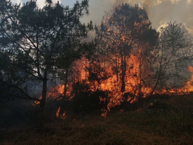 微信圖片_20210510083017 微信圖片_20210510083017