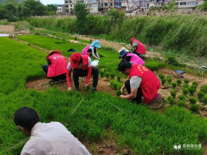 微信圖片_20210511180545 微信圖片_20210511180545