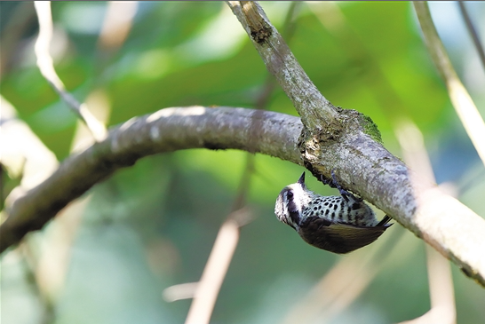 微信截圖_20210512092444 微信截圖_20210512092444