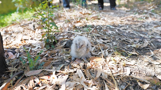 微信截圖_20210512092948 微信截圖_20210512092948