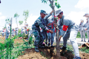 66021620929106525 66021620929106525