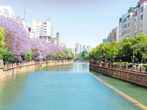 39621620929112331 39621620929112331