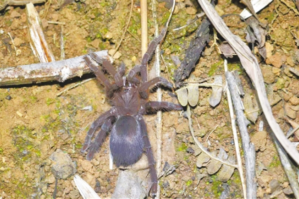 微信截圖_20210514100024