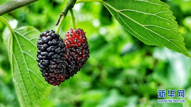 f44d30758a76220d63c00a f44d30758a76220d63c00a