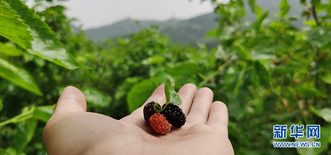 f44d30758a76220d63c00b f44d30758a76220d63c00b