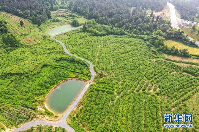 f44d30758a76220d63c006 f44d30758a76220d63c006