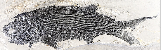 微信截圖_20210521100352 微信截圖_20210521100352