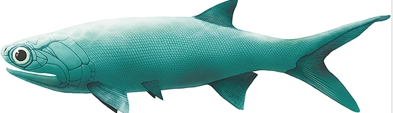 微信截圖_20210521100336 微信截圖_20210521100336