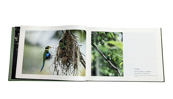 圖4 拷貝 圖4 拷貝