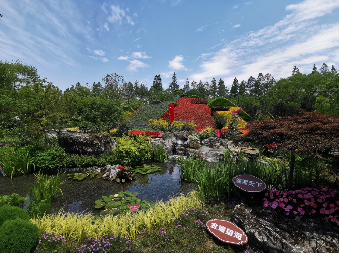 第十屆中國花卉博覽會開幕，云花驚艷滬上