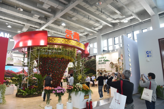 第十屆中國花卉博覽會開幕，云花驚艷滬上