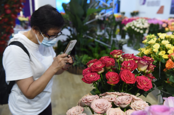 第十屆中國花卉博覽會開幕，云花驚艷滬上